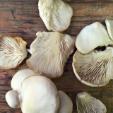 Bukovače: kako očistiti i oprati prije jela